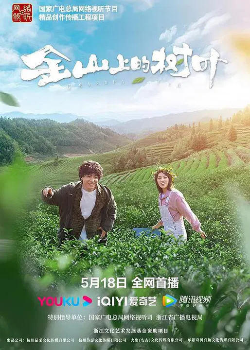 【剧情片】金山上的树叶